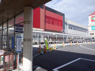 ���ꉷ��w�摜