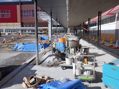 ���ꉷ��w�摜