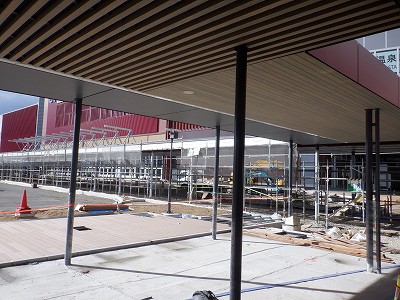 ���ꉷ��w�摜