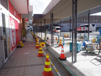 ���ꉷ��w�摜