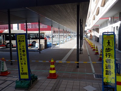 ���ꉷ��w�摜