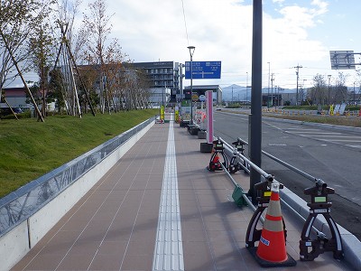 ���ꉷ��w�摜