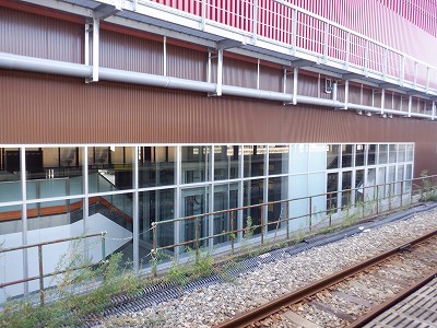 ���ꉷ��w�摜