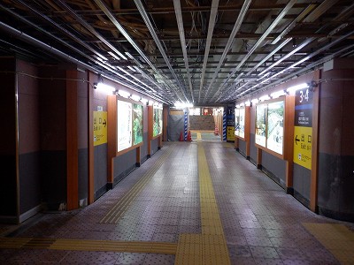 ���ꉷ��w�摜