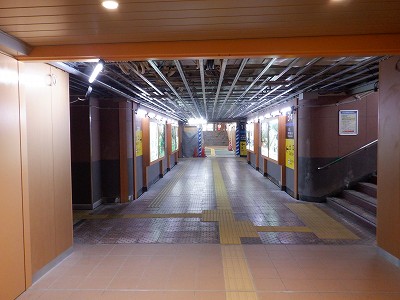 ���ꉷ��w�摜