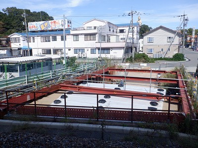 ���ꉷ��w�摜