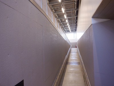 ���ꉷ��w�摜