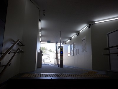 ���ꉷ��w�摜