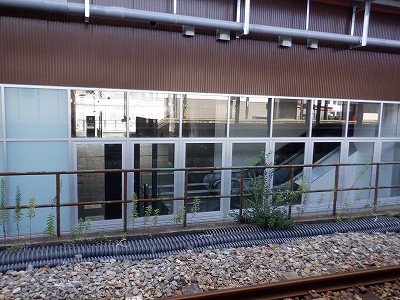 ���ꉷ��w�摜