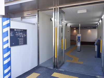 ���ꉷ��w�摜