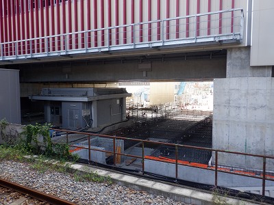 ���ꉷ��w�摜