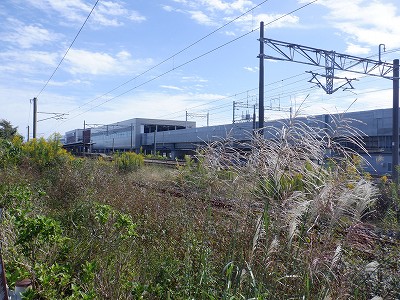 ���ꉷ��w�摜