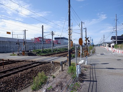 ���ꉷ��w�摜