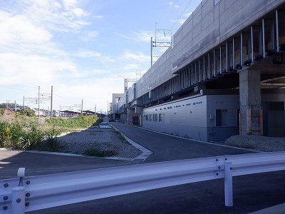 ���ꉷ��w�摜