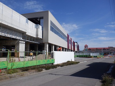 ���ꉷ��w�摜