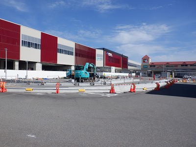 ���ꉷ��w�摜