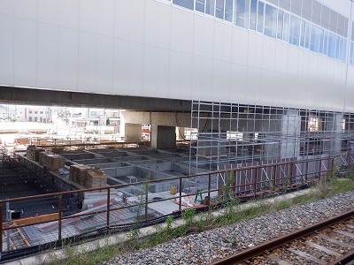 ���ꉷ��w�摜