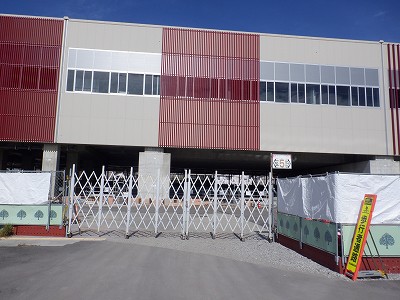 ���ꉷ��w�摜