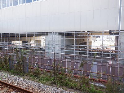 ���ꉷ��w�摜