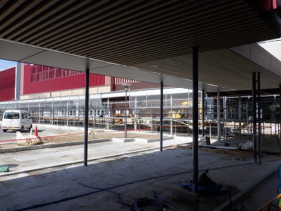 ���ꉷ��w�摜