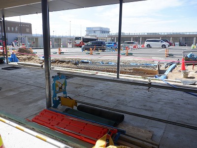 ���ꉷ��w�摜