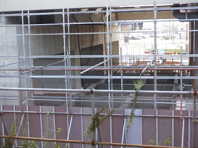 ���ꉷ��w�摜