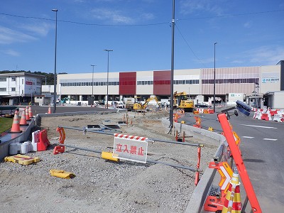 ���ꉷ��w�摜