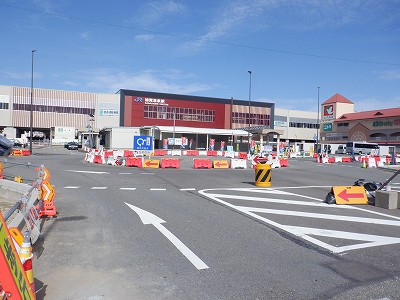 ���ꉷ��w�摜