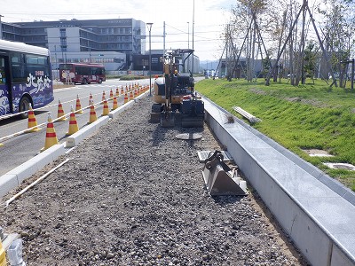 ���ꉷ��w�摜