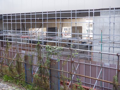 ���ꉷ��w�摜