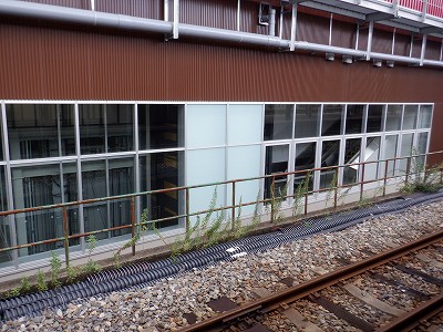 ���ꉷ��w�摜