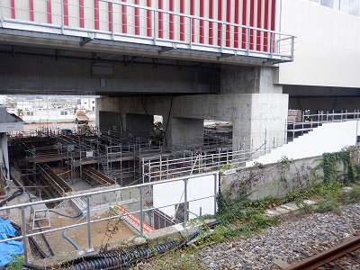 ���ꉷ��w�摜