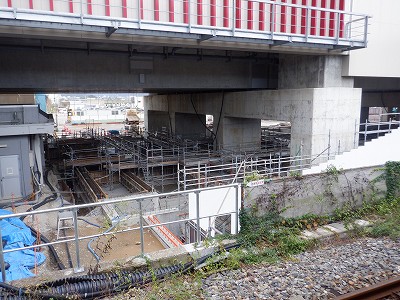 ���ꉷ��w�摜