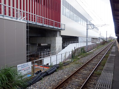 ���ꉷ��w�摜