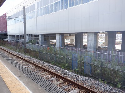 ���ꉷ��w�摜