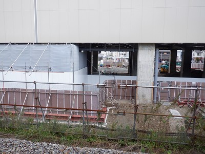 ���ꉷ��w�摜