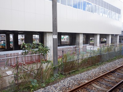 ���ꉷ��w�摜