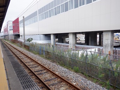 ���ꉷ��w�摜