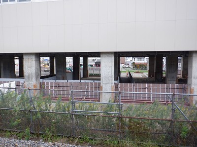 ���ꉷ��w�摜