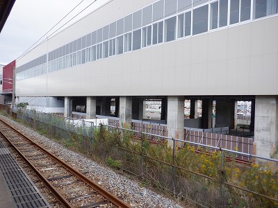 ���ꉷ��w�摜