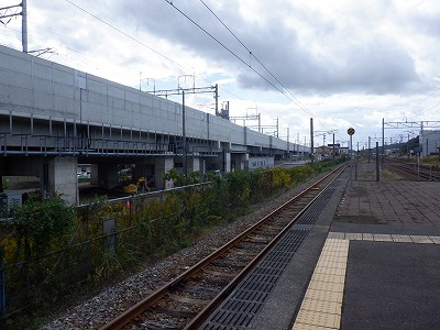 ���ꉷ��w�摜