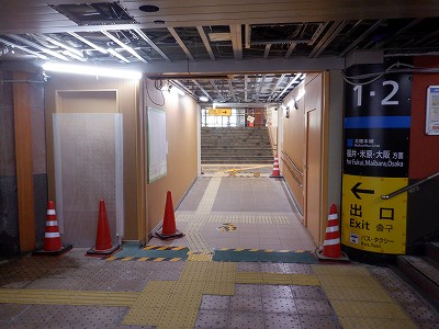 ���ꉷ��w�摜