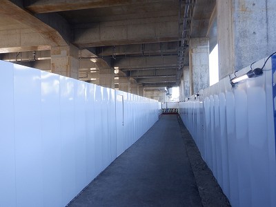 ���ꉷ��w�摜