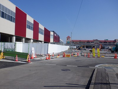 ���ꉷ��w�摜