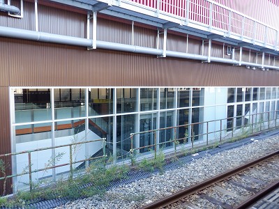 ���ꉷ��w�摜