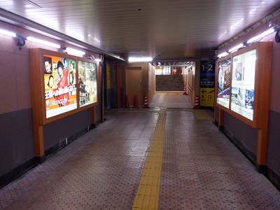 ���ꉷ��w�摜