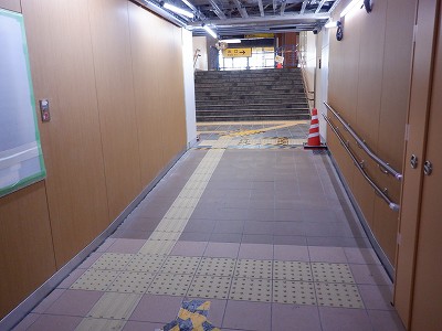 ���ꉷ��w�摜