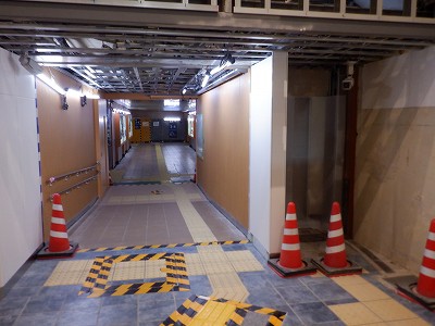 ���ꉷ��w�摜