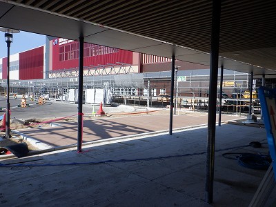 ���ꉷ��w�摜