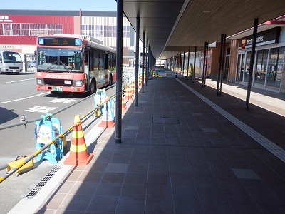 ���ꉷ��w�摜